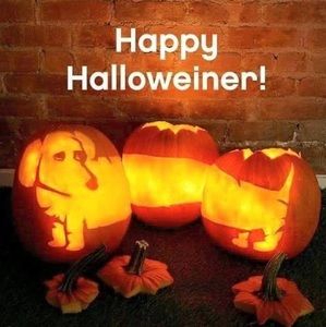 Meet your Posher, Phyllis